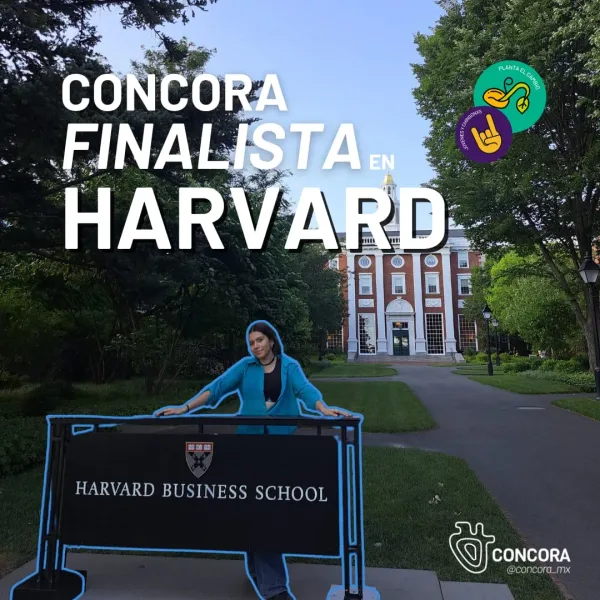 EasyA x Stacks Harvard 2024